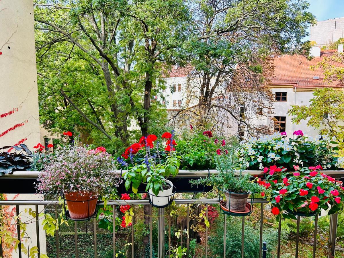 Green Balcony & King Size Bed Prague Extérieur photo